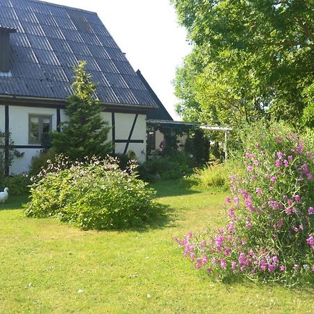 Byens Rareste B&B Harlev  外观 照片