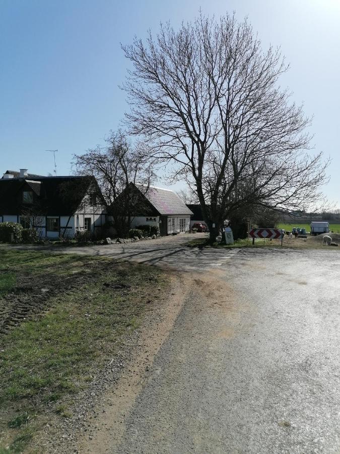 Byens Rareste B&B Harlev  外观 照片