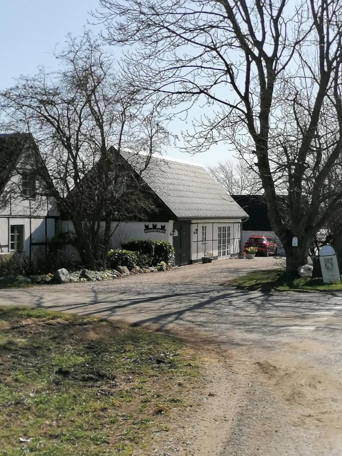 Byens Rareste B&B Harlev  外观 照片